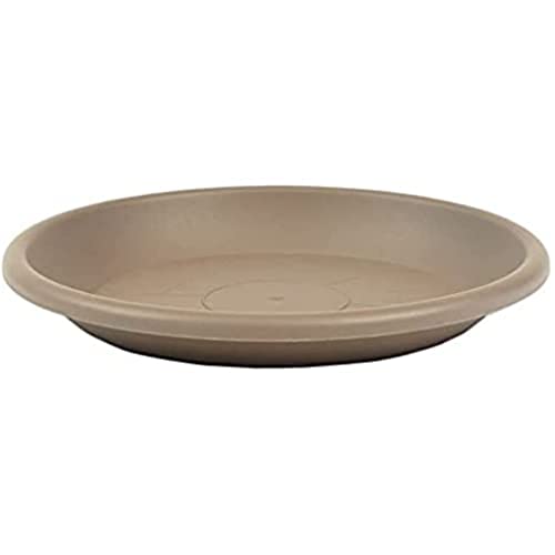 greemotion Blumentopfuntersetzer Taupe - Untersetzer Blumen mit 29 cm Durchmesser Höhe 3,8 cm - Pflanzkübel Untersetzer aus Kunststoff - Pflanzenuntersetzer rund - Pflanzen Untertopf von Greemotion