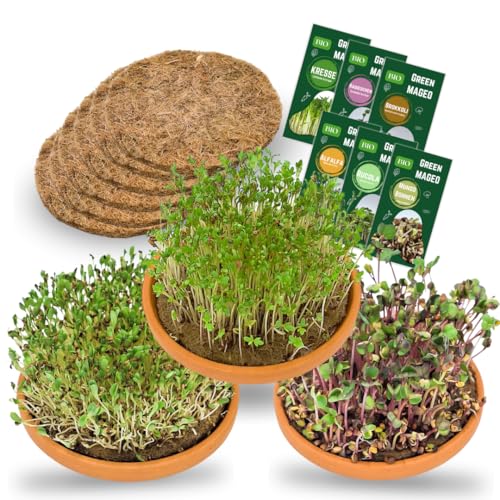 Green MaGeo Microgreens Starter Set - 3 x 11cm Microgreens Anzuchtschalen mit 6 Microgreens Samen und 3 Anzuchtmatten Jutte, ideal für die Sprossen Anzucht oder als Microgreens Anzuchtset von Green MaGeo