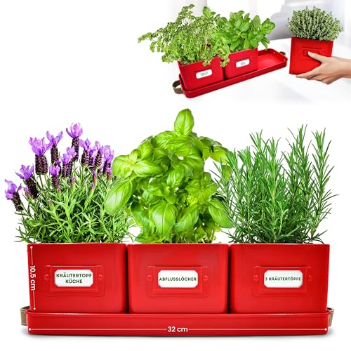 Green Thumbz 3 STK. Kräutertopf - Kräutertöpfe für Deinen Kräutergarten und Fensterbank Innen Dekoration - Basilikum Topf mit Ledergriffen & Untersetzer - Küchenkräuter Topf (Rot) von Green Thumbz