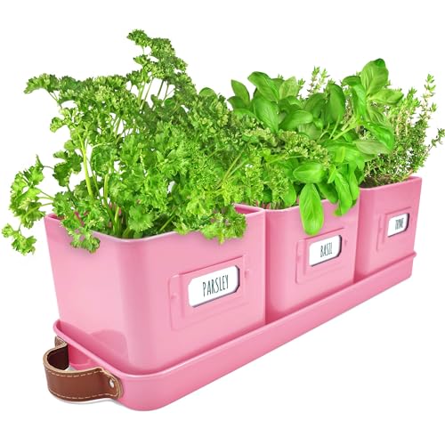 Green Thumbz 3 STK. Kräutertopf - Kräutertöpfe für Deinen Kräutergarten und Fensterbank Innen Dekoration - Basilikum Topf mit Ledergriffen & Untersetzer - Küchenkräuter Topf (Rosa) von Green Thumbz