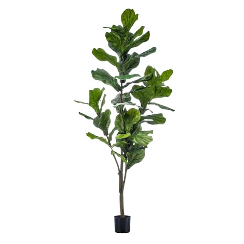Green boutiQ - Kunstpflanze - Ficus Lyrata - Tabakpflanze - Grün - Pflegeleicht - Hochwertige Qualität - 150 cm Green boutiQ - Kunstpflanze - Ficus Lyrata - Tabakpflanze - Grün - Pflegeleicht - Hochwertige Qualität - 150 cm von Green boutiQ