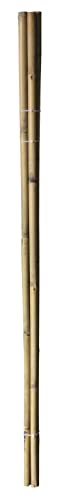 Green>it® Bambusstäbe - 150 cm - Ø25,4 mm - 4 STK. von Green>it
