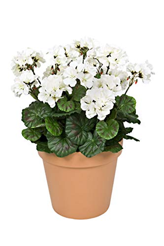 GreenBrokers, Terrakotta-Übertöpfe, 45 cm GreenBrokers, Terrakotta-Übertöpfe, 45 cm von GreenBrokers
