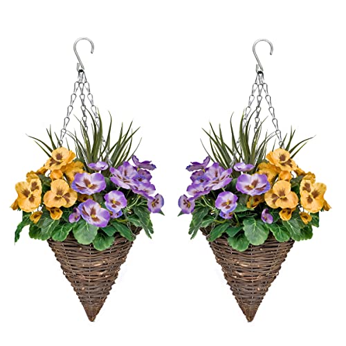 GreenBrokers Hängekörbe mit lila und gelben Blumen und dekorativen Gräsern (2er-Set) Violett und Gelb von GreenBrokers