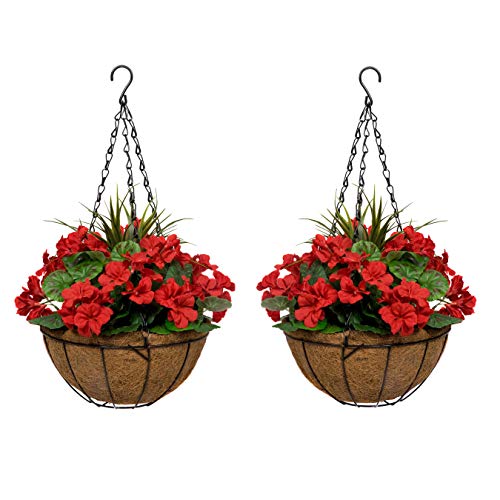 GreenBrokers Kokosfaser Hängekörbe 2X künstliche Geranien rund 2er Set 25cm GreenBrokers Kokosfaser Hängekörbe 2X künstliche Geranien rund 2er Set 25cm von GreenBrokers