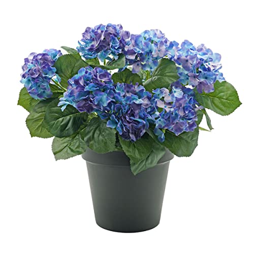 GreenBrokers Künstliche Blaue Hortensien im schwarzen Topf, 50 cm von GreenBrokers