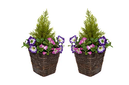 GreenBrokers Künstliche Rattan-Pflanzgefäße für Terrasse, mit rosa und lila Petunien und Zedernholz, 2 Stück von GreenBrokers