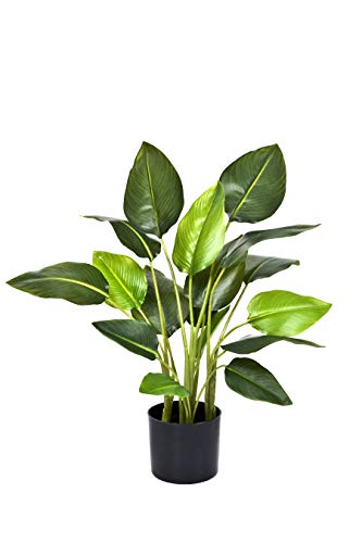 GreenBrokers Künstlicher Pardisevogel, 78 cm, Strelitzia von GreenBrokers