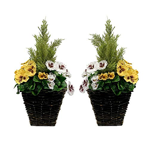 GreenBrokers Künstlicher Terrassen-Übertopf mit gelben & weißen Stiefmütterchen & Nadelholz-Formschnitt, 2er-Set, Gelb und Weiß GreenBrokers Künstlicher Terrassen-Übertopf mit gelben & weißen Stiefmütterchen & Nadelholz-Formschnitt, 2er-Set, Gelb und Weiß von GreenBrokers