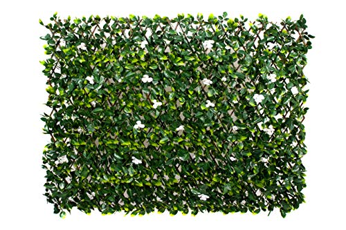GreenBrokers Kunstmatte/Wand, 1 x 2 m, Grün von GreenBrokers