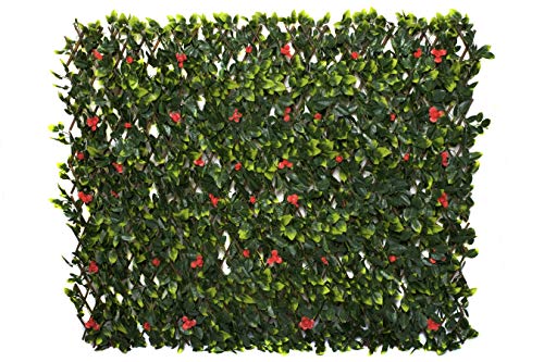 GreenBrokers Spalier Künstlicher erweiterbarer Weidenzaun mit grünem Laub und roten Blumen (1 m x 2 m) - UV-stabil, A1262-01 von GreenBrokers