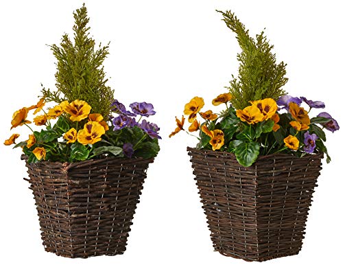GreenBrokers Zuchtset Künstliche Terrasse Pflanzgefäßen – Lila & Gelb Blumen & Konifere/Zeder Formschnitt von GreenBrokers