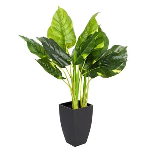 Künstliche Pothos-Pflanze, fühlt Sich echt an, im schwarzen Topf, 75 cm Künstliche Pothos-Pflanze, fühlt Sich echt an, im schwarzen Topf, 75 cm von GreenBrokers