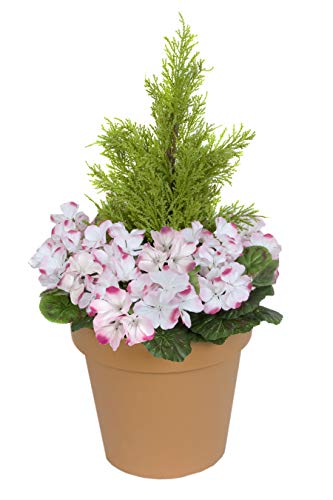 Künstliche rosa Kunstseide Geranien mit Zedern-Formschnitt in einem terrakottafarbenen Topf, ideal für Zuhause, Terrasse, Garten, Outdoor, Leben, 58 cm von GreenBrokers