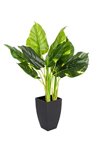 GreenBrokers Künstliche Pothos-Pflanze, fühlt Sich echt an, in schwarzem Topf, 75 cm von GreenBrokers