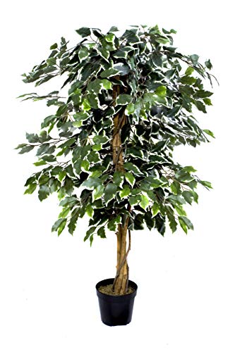 GreenBrokers Premium Künstlicher Ficusbaum 140 cm Topfpflanze von GreenBrokers