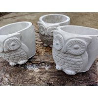 Beton Eulen Topf Kakteen & Sukkulenten Zement Pflanzer Natürliche Farbe Design Garten Home Decor Geschenk von GreenBuddyNursery