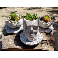 Beton Scull Topf Kakteen & Sukkulenten Zement Pflanzer Natürliche Farbe Geometrisch Design Garten Home Decor Geschenk von GreenBuddyNursery