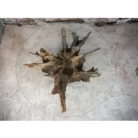 Designer Couchtisch - Wurzelholz, Eiche, Glasplatte, Wurzeltisch von GreenGuys