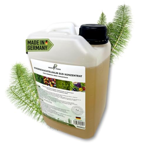 GreenPanda Schachtelhalm Extrakt 3L - Ackerschachtelhalm Konzentrat - Schachtelhalm für Rosen & Tomaten gegen Pilzbefall (3 Liter) von GreenPanda