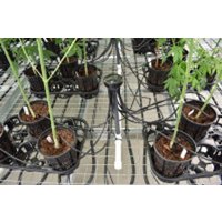 Tropfbewässerung Komplettes Kit Mit Pumpe Green Power Tropfbewässerung Komplettes Kit Mit Pumpe Green Power von GreenPowerUA