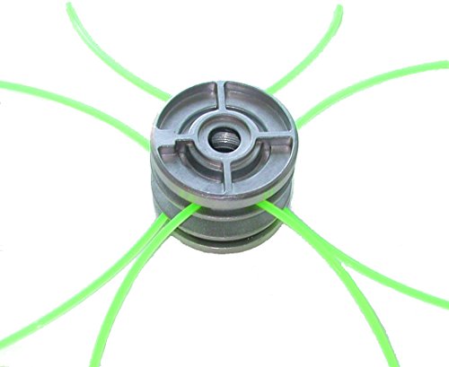 Universal-Kopf Universal-Kopf von Greenstar