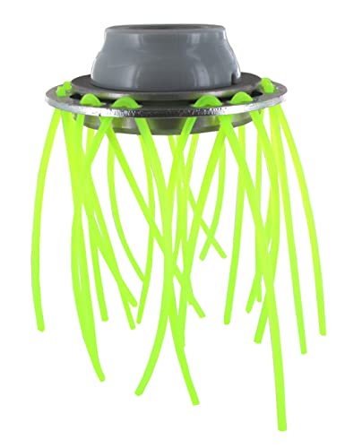 Kräuterkopf Kräuterkopf von Greenstar