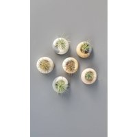 3Er Set Mini Runder Zement Luftpflanzenhalter/Mini-Kerzenhalter Tillandsiahalter Modernes Dekor von GreenSundayPots