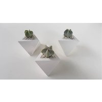 3Er Set Mini Weiß Zement Pflanzgefäße/Sukkulenten Pflanzer Kaktus Zementtopf Moderner Sukkulententopf Kaktustopf von GreenSundayPots