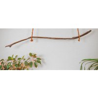 Wunderschöner Ast Aus Eiche Für Pflanzenampel #al06 Wunderschöner Ast Aus Eiche Für Pflanzenampel #al06 von GreenWoodKunstShop