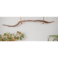 Wunderschöner Ast Aus Eiche Für Pflanzenampel #al07 von GreenWoodKunstShop