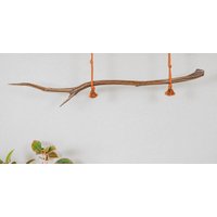 Wunderschöner Ast Aus Eiche Für Pflanzenampel #al08 von GreenWoodKunstShop