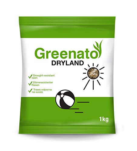1kg Rasensamen Greenato Dryland dürreresistenter Rasen Grassamen Rasensaat Gras Grassaat von Greenato