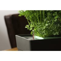 GREENBAR Wasserstandsanzeiger, für GREENBAR® Kräuerbox - schwarz von Greenbar