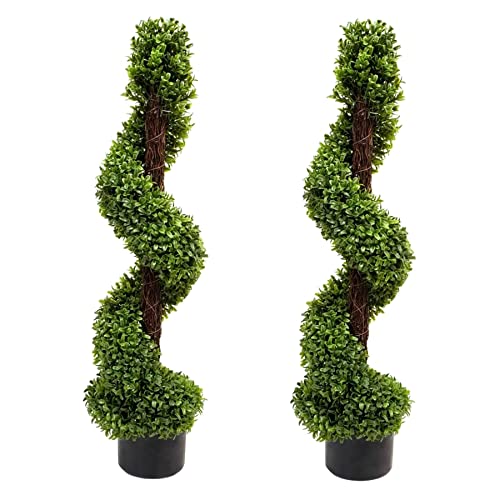 GreenBrokers Zuchtset Limited asbt-5307–03 35 x 25 x 94 cm Spirale, Buchsbaum mit natürlichem Holz Stiel (Set von 2) – (2-) von GreenBrokers