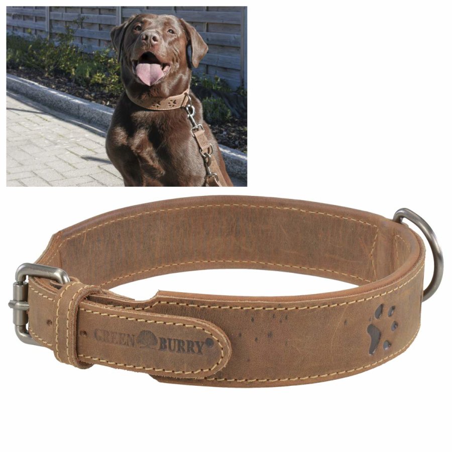 Greenburry Hundehalsband Leder Vintage antik braun 56-63cm - Raumzutaten.de | Online Shop von Greenburry