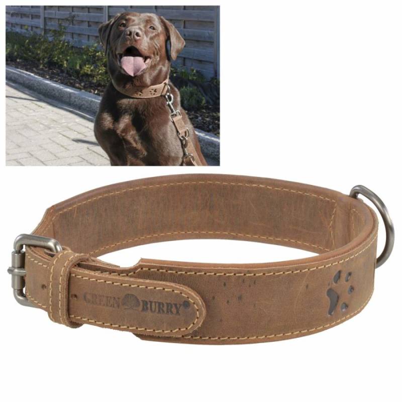 Greenburry Hundehalsband Leder Vintage antik braun - Raumzutaten.de | Online Shop von Greenburry