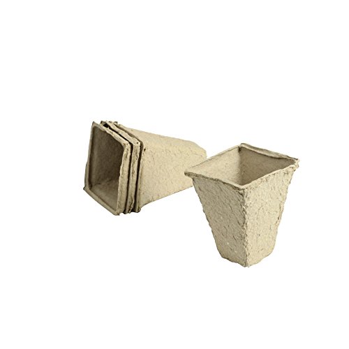 Greengeers 93483 Set 20 Dosen Carre Papier beige 8 cm von Greengeers