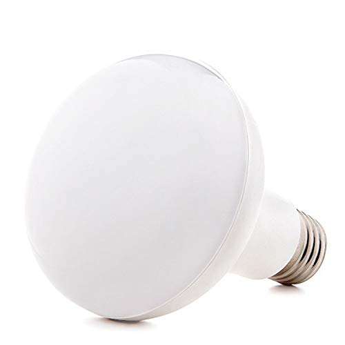 Glühbirne LED E27 12W 936Lm 3000ºK R80 40.000H [CV-R80-E27-12W-WW] | Greenice von Greenice