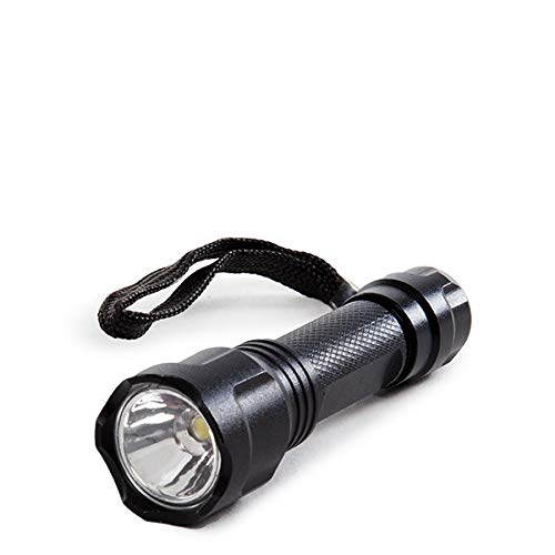 Taschenlampe 100Lm 6000ºK LED Schwarz 30.000H [HO-LL-100L-B] | Greenice von Greenice