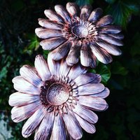 Kupfer Gerbera Gänseblümchen, Ideale Hochzeitsstraußblume Oder 7., 9., 22. Jahrestag. Eine Unvergängliche Blume Kupfer Gerbera Gänseblümchen, Ideale Hochzeitsstraußblume Oder 7., 9., 22. Jahrestag. Eine Unvergängliche Blume von GreenleafArtworks