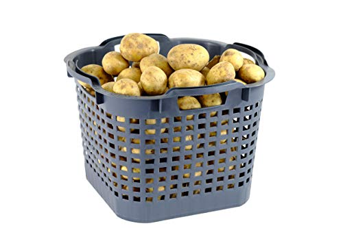GreenLife Kartoffelkorb Gemüsekorb 25L 3 St. grau Made in Germany, robust, stapelbar, langlebiger Kunststoff von GreenLife