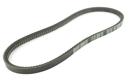 - Greenstar 11973 USA 3L310 Keilriemen Wellenschliff, 10 x 6 x 770 mm - Greenstar 11973 USA 3L310 Keilriemen Wellenschliff, 10 x 6 x 770 mm von Greenstar