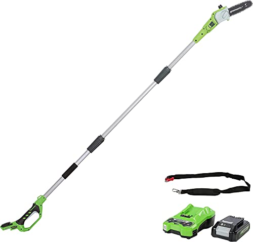 Greenworks G24PS20K2 Akku Hochentaster,20 cm Blattlänge, 6,7 m/s Kettengeschwindigkeit, 3,2 kg, automatisches Öl-System, 50 ml Öltank, 2,6m Stangenreichweite,24V 2Ah Akku & Ladegerät, 3 Jahre Garantie von Greenworks