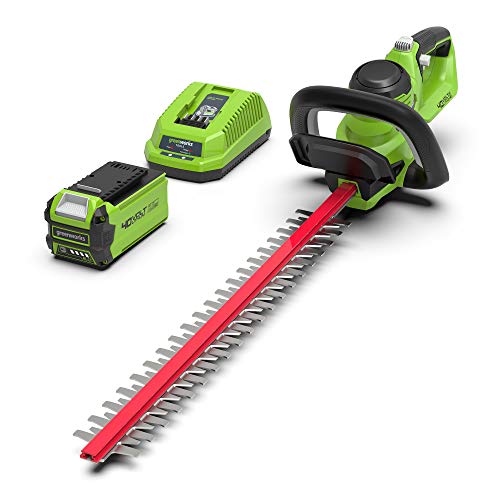 Greenworks G40HT61K2 Akku Heckenschere, 61 cm Doppelklingen, schneidet bis zu 27 mm dicke Äste und Stämme, 3000 Schnitte pro Minute, 40V 2Ah Akku & Ladegerät, 3 Jahre Garantie von Greenworks