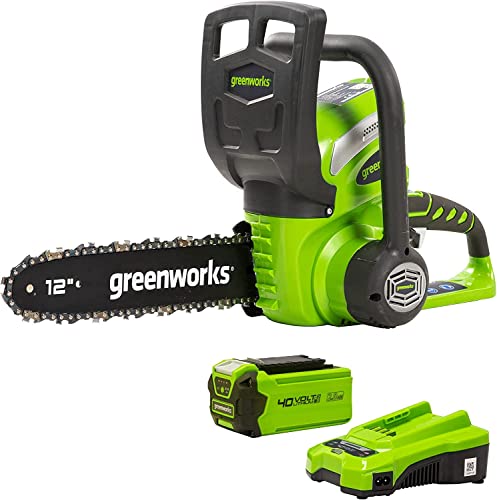 Greenworks G40CS30K2 Akku Kettensäge mit Akku und Ladegerät, 30 cm Blattlänge, 4,2 m/s Kettengeschwindigkeit, 3,7 kg, automatische Kettenschmierung, 40V 2Ah Akku, 3 Jahre Garantie von Greenworks