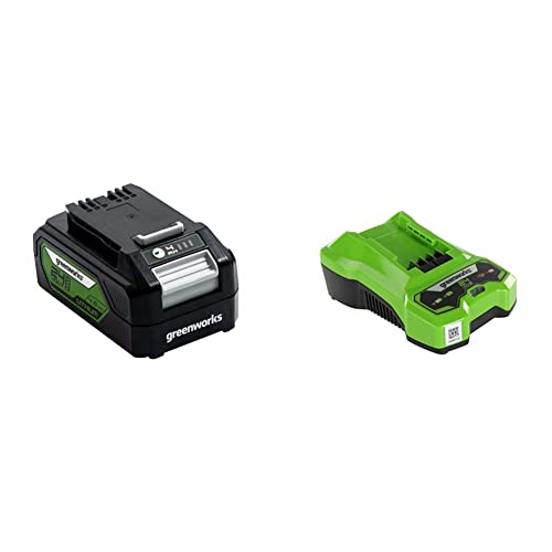 Greenworks Akku G24B4 & Tools Akku-Ladegerät G24C (Li-Ion 24 V 48W Output passend für alle Akkus der 24 V Greenworks Serie) von Greenworks