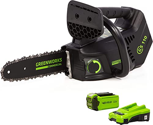 Greenworks GD40TCSK2 Akku Kettensäge mit Akku und Ladegerät, bürstenlosem Motor, 25 cm Blattlänge, 12 m/s Kettengeschwindigkeit, 2,4 kg, automatischer Kettenschmierung, Rückschlagschutz, 40V 2Ah Akku von Greenworks