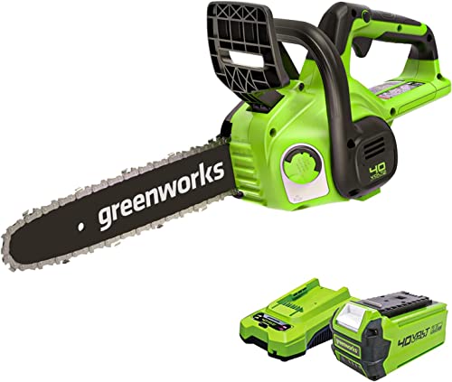 Greenworks Akku Kettensäge mit Akku und Ladegerät, 12 Zoll (30 cm) Blattlänge, 4,2 m/s Kettengeschwindigkeit, 2,6 kg, automatische Kettenschmierung, 40V 2Ah Akku, 3 Jahre Garantie-G40CS30IIK2 von Greenworks