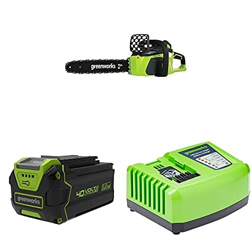 Greenworks Tools Akku-Kettensäge GD40CS40 + 01-000002927207 G40B5 Batterien, 40 V, Grün, Grau, Schwarz + Akku-Schnellladegerät G40UC4 von Greenworks